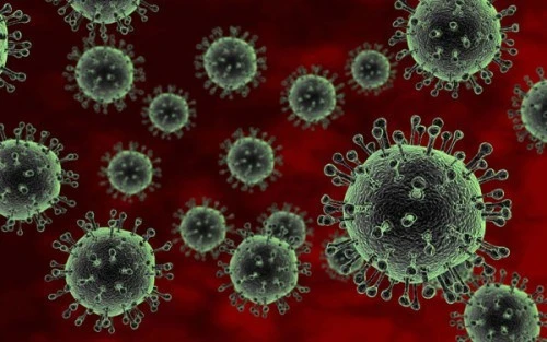 Tác nhân gây bệnh cúm chủ yếu do các chủng virus cúm A(H3N2), cúm A(H1N1), cúm B và cúm C. 