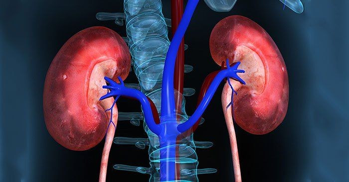 Người dân cần khám sức khỏe định kỳ, ngay cả khi cảm thấy khỏe mạnh. Ảnh minh hoạ. 