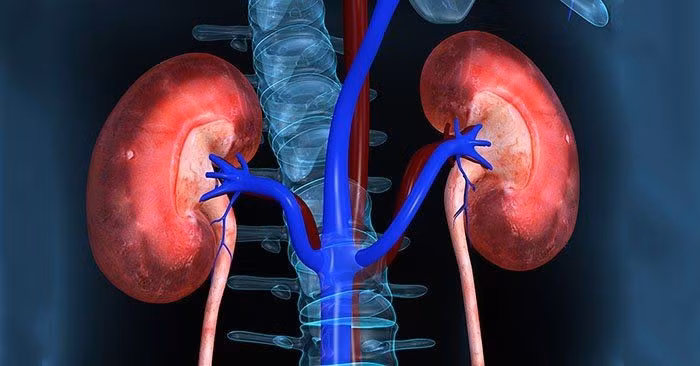 Người dân cần khám sức khỏe định kỳ, ngay cả khi cảm thấy khỏe mạnh. Ảnh minh hoạ. 