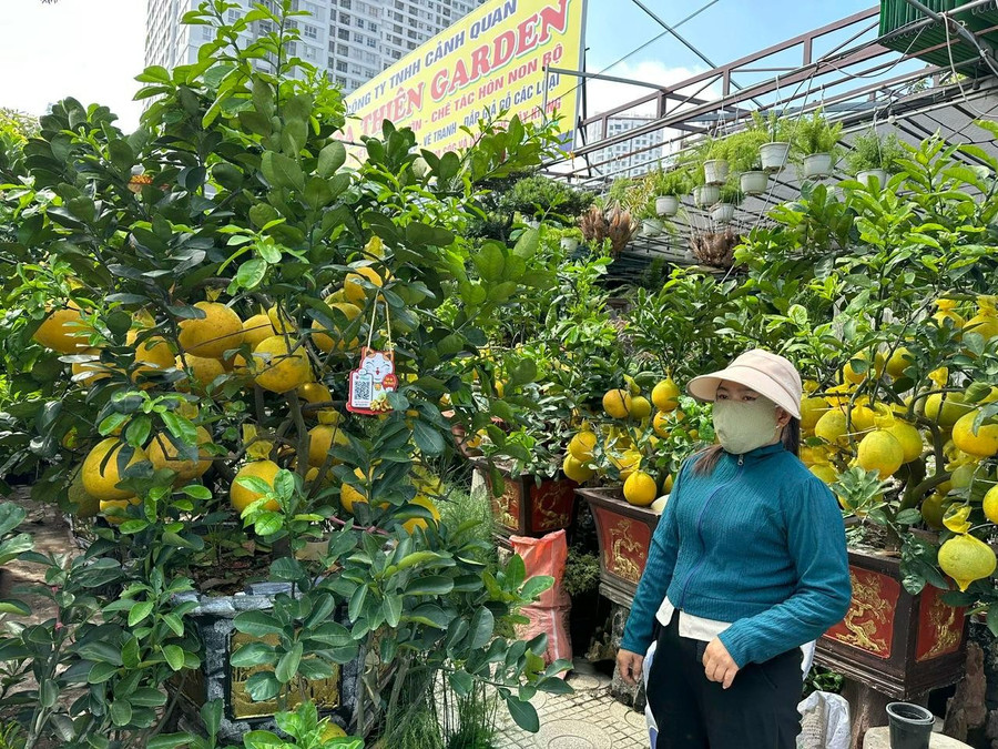 Bưởi diễn về TPHCM nhiều và rất đẹp. Ảnh: INT