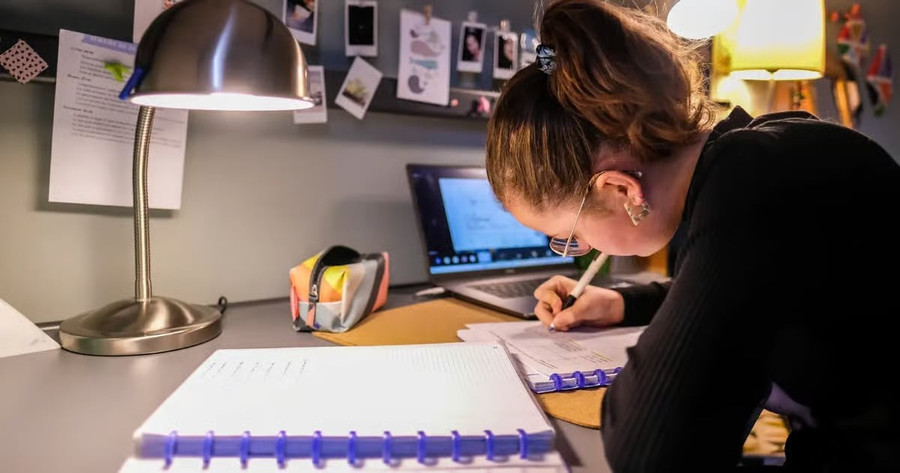 Trẻ em nhập cư Mỹ học trực tuyến.