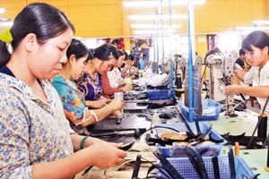 Sơn La phấn đấu đưa 5.000 lao động đi làm việc ở nước ngoài giai đoạn 2025–2030, hướng tới giảm nghèo bền vững