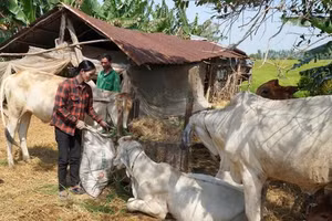 Tháo gỡ vướng mắc, tạo đà cho giảm nghèo bền vững cho giai đoạn 2026 - 2030