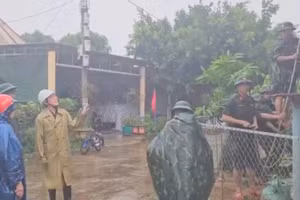 Các lực lượng tiếp tục hỗ trợ người dân Quảng Trị chằng chống nhà trước bão.