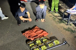 Hai nghi phạm bị bắt giữ cùng tang vật.