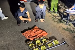 Hai nghi phạm bị bắt giữ cùng tang vật.