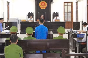 Bị cáo Nguyễn Thế Lữ bị tuyên phạt 12 tháng tù.