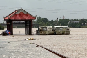 Mực nước sông Thạch Hãn (thị xã Quảng Trị) dâng cao.