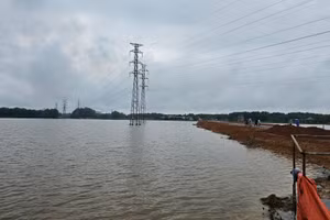 Từ khi thực hiện dự án đường tránh, cánh đồng Đội 4 thôn Trúc Lâm bị ngập nước khi xảy ra mưa lớn.