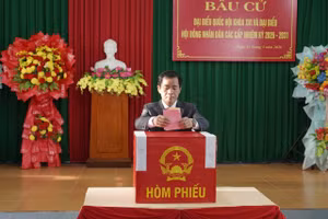 Bí thư tỉnh Quảng Trị Nguyễn Văn Phương bỏ phiếu bầu cử.