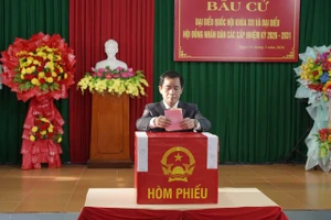 Bí thư tỉnh Quảng Trị Nguyễn Văn Phương bỏ phiếu bầu cử.
