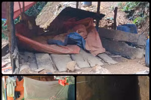 "Vàng tặc" tiếp tục dựng lán khai thác trái phép giữa rừng. 