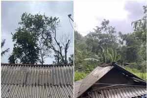 Ngôi nhà của ông Hồ Văn Chiến (ở thôn Hồ, xã Hướng Phùng) bị sập hoàn toàn.