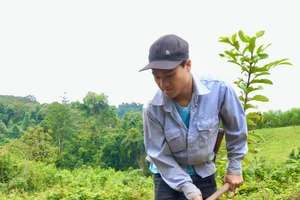 Cuộc sống của Sao gắn liền với công việc nương rẫy nơi rừng núi quê hương