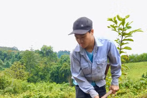 Cuộc sống của Sao gắn liền với công việc nương rẫy nơi rừng núi quê hương