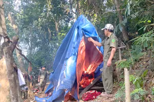 Lực lượng chức năng phá hủy lán trại do nhóm người khai thác vàng trái phép dựng lên.