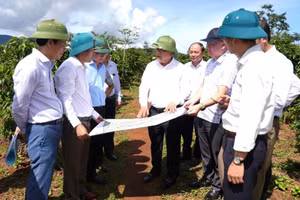 Ông Trần Phong – Chủ tịch UBND tỉnh Quảng Trị kiểm tra công tác chuẩn bị xây dựng trường nội trú ở xã Hướng Phùng.