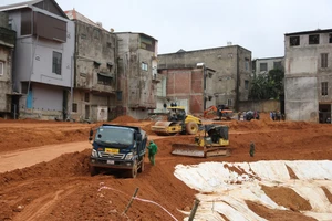 Đây là hạng mục trọng điểm trong "Chiến dịch Quang Trung" khắc phục hậu quả thiên tai.