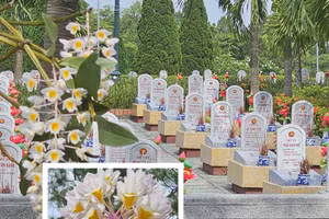 Những đoá hoa lan như lời tri ân đối với các liệt sĩ đang yên nghỉ tại các nghĩa trang.