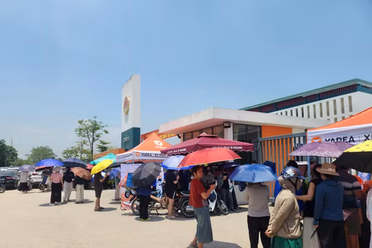 Điểm thi tốt nghiệp Trường THPT Chuyên Tuyên Quang năm 2026.