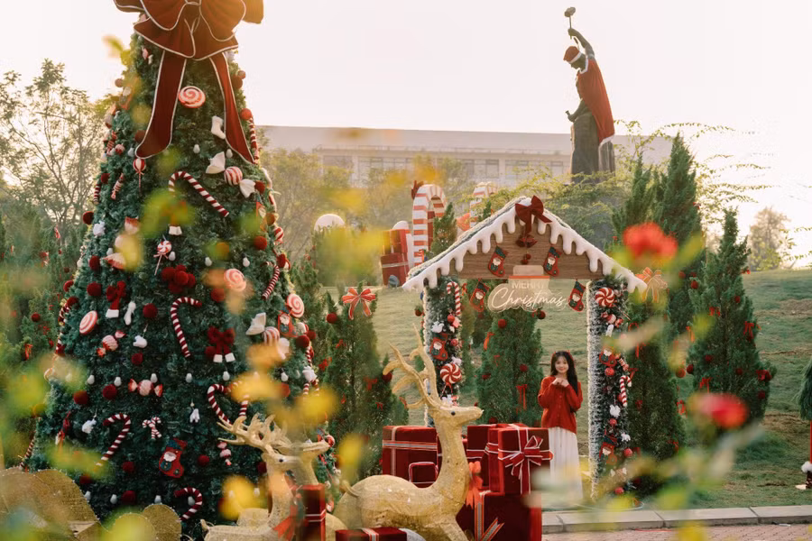 Trường đại học rực rỡ mùa Noel