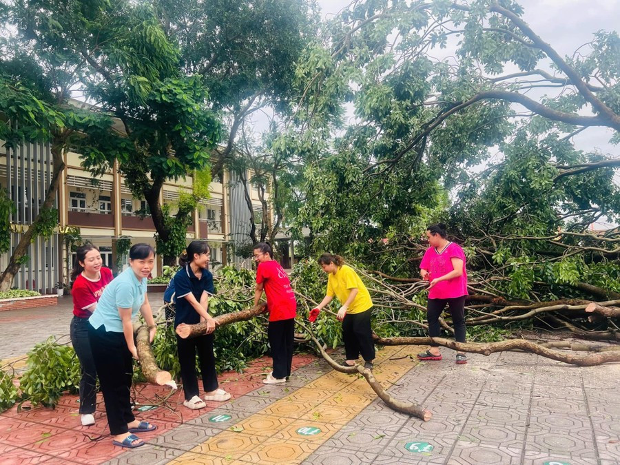 Giáo viên, nhân viên Trường THCS Lĩnh Nam (quận Hoàng Mai, Hà Nội) dọn dẹp cây gãy đổ, vệ sinh môi trường. Ảnh: Vân Anh.