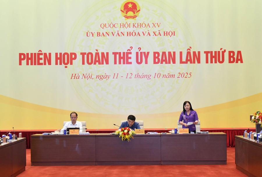 Phó Chủ nhiệm Ủy ban Văn hóa và Xã hội Nguyễn Thị Mai Hoa trình bày tóm tắt dự thảo Báo cáo thẩm tra 3 dự án Luật. pho-chu-nhiem-ub-vhxh-nguyen-thi-mai-hoa2.jpg