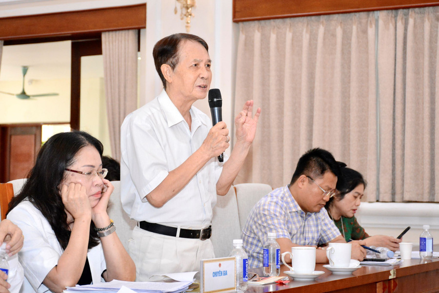 TSKH Phạm Đỗ Nhật Tiến phát biểu tại phiên họp. tsk-pham-do-nhat-tien.jpg