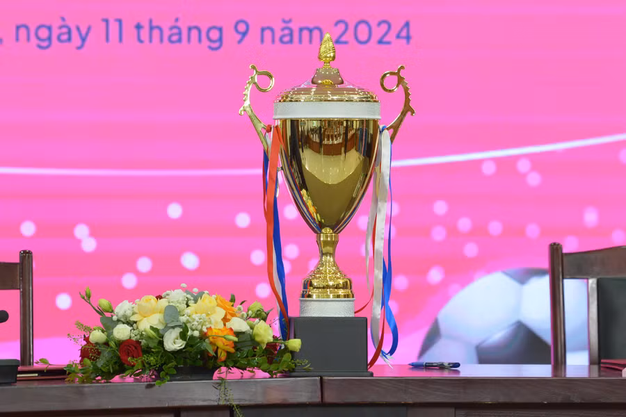 vff boc tham bong da nu-3668.jpg