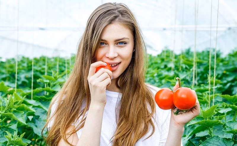 Cà chua chứa chất lycopene, chống oxy hóa và bảo vệ võng mạc mắt. mat 8.jpg