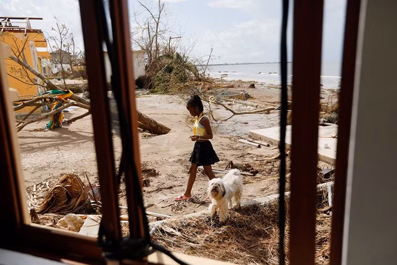 Trẻ em và chó đi dạo tại Black River, Jamaica 2 ngày sau bão Melissa ngày 30/10. chum-anh-noi-bat-trong-tuan-021105-027.jpg