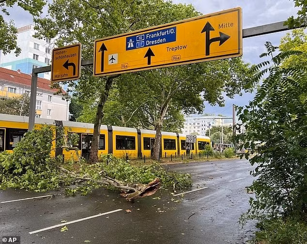 Cành cây nằm trên đường phố sau cơn bão ở quận Prenzlauer Berg, Berlin. hinh-anh-chau-au-chao-dao-vi-nang-nong-chay-rung-va-giong-lu-du-doi-duc2.jpg