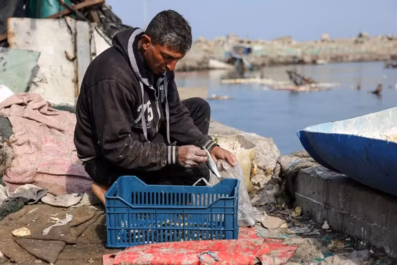 Theo Tổ chức Lương thực và Nông nghiệp, sản lượng đánh bắt trung bình hàng ngày của Gaza từ tháng 10/2023 đến tháng 4/2024 đã giảm xuống chỉ còn 7,3% so với mức năm 2022. Ảnh: Bashar Taleb/AFP. chum-anh-nguoi-dan-gaza-bat-ca-07.jpg