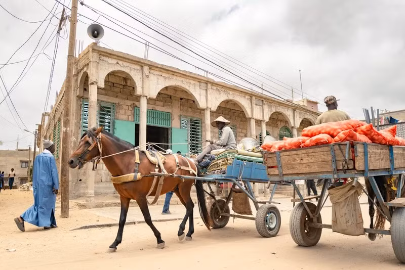 Năm 2023, Senegal có 237 ca tử vong mẹ/100.000 ca sinh sống và 21 trẻ sơ sinh tử vong/1.000 trẻ trong tháng đầu đời. Giáo dục nam giới giúp vợ mang thai và sinh nở sẽ bảo vệ sức khỏe cộng đồng, dù thay đổi thái độ vẫn là thách thức. lop-hoc-cho-nhung-nguoi-chong-8.jpg