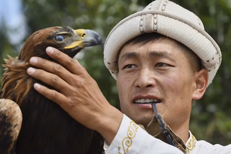 Một thợ săn Kyrgyz chuẩn bị đại bàng vàng của mình để tham gia thi đấu tại lễ hội. Ảnh: AP chum-anh-le-hoi-truyen-thong-salbuurun-o-kyrgyzstan-0805-03.jpg