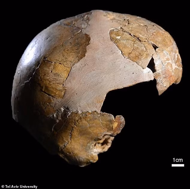 hop-so-be-gai-140000-nam-tuoi-he-lo-su-that-bat-ngo-ve-nguoi-neanderthal-2.jpg