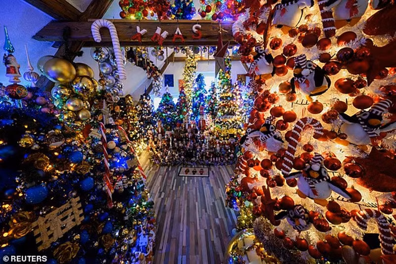 chum-anh-gia-dinh-lap-ky-luc-trang-tri-cay-thong-noel-011.jpg