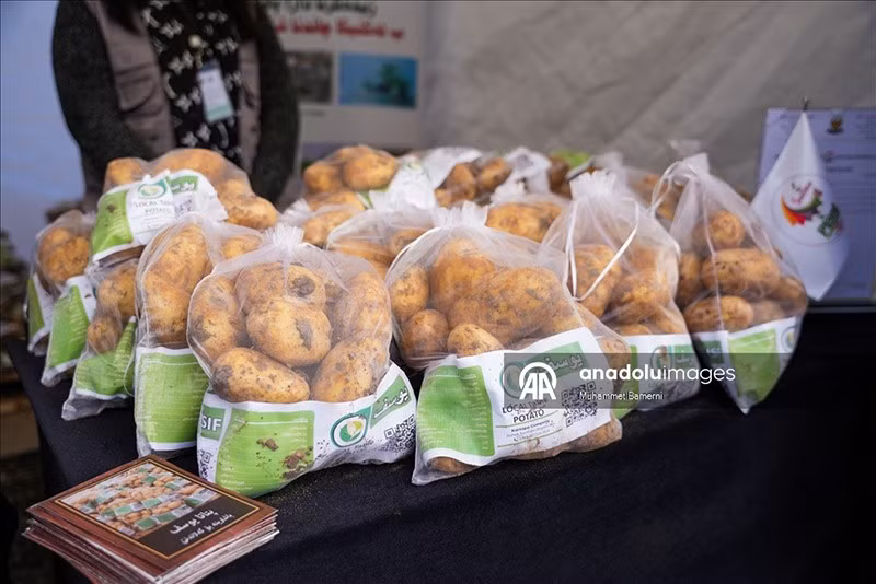 chum-anh-le-hoi-khoai-tay-o-iraq-1205-011.jpg
