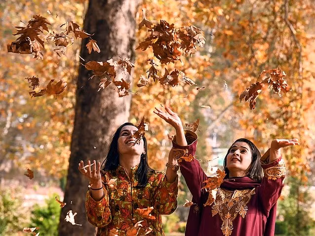 Phụ nữ tung lá Chinar khô tại vườn Nishat khi mùa thu nhuộm Srinagar bằng những sắc đỏ, vàng và hổ phách rực rỡ. ngam-mua-thu-dep-ngo-ngang-o-kashmir0.jpg