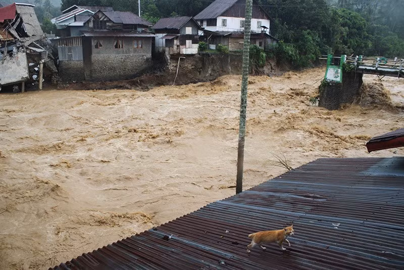 Giới chức địa phương cho biết mưa lớn kéo dài nhiều ngày đã gây ngập lụt diện rộng, cuốn trôi nhà cửa và làm tê liệt hạ tầng giao thông. Ảnh: AP. chum-anh-indonesia-tim-kiem-nan-nhan-sau-lu-lut-1105-02.jpg
