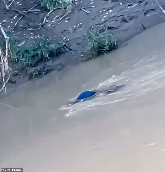 Thi thể nạn nhân đã được bàn giao cho gia đình để mai táng. Trưởng làng, ông Heri Budianto, cho hay vụ tấn công chết người gần nhất tại khu vực này diễn ra vào năm 2015. kinh-hoang-ca-sau-mang-thi-the-thieu-nien-truoc-su-bat-luc-cua-ban-be-5.jpg