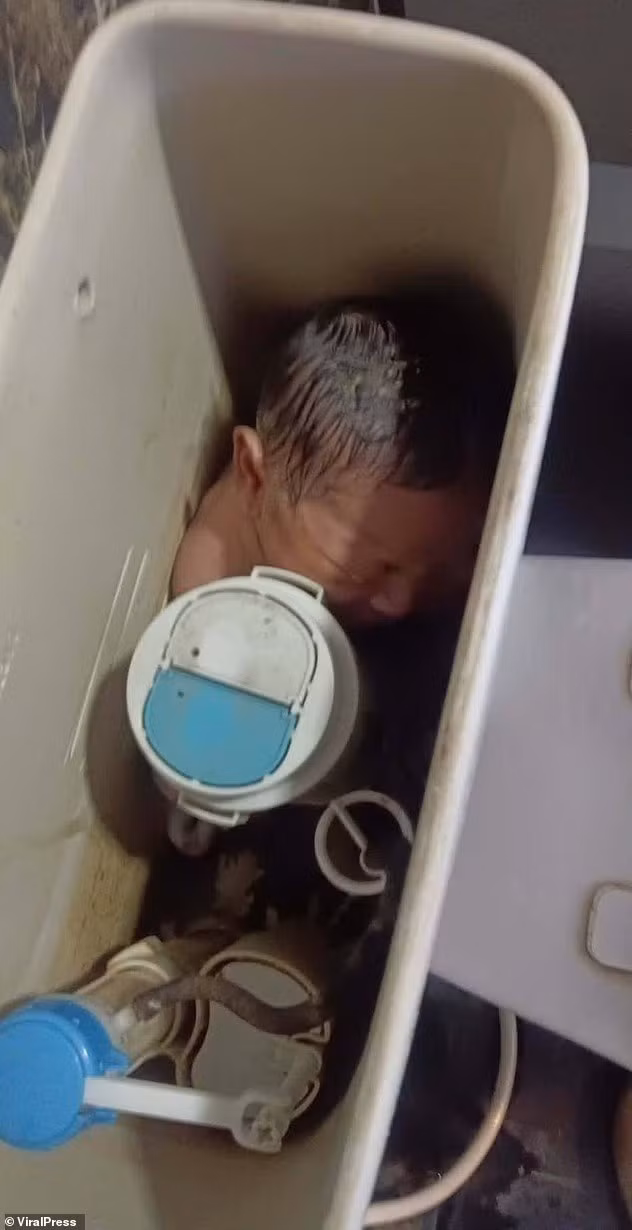 Nhân viên vệ sinh đang làm việc ở tầng 3 thì nghe thấy tiếng khóc yếu ớt phát ra từ nhà vệ sinh. Khi mở nắp bồn chứa, họ bàng hoàng thấy bé gái không mặc quần áo, cơ thể tím tái, bàn tay nhăn nheo do ngâm lâu trong nước. be-so-sinh-song-sot-ky-dieu-trong-bon-nuoc-nha-ve-sinh-o-bangkok.jpg