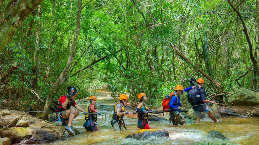 Hành trình đổi đời của những người “thợ rừng” ở Phong Nha - Kẻ Bàng