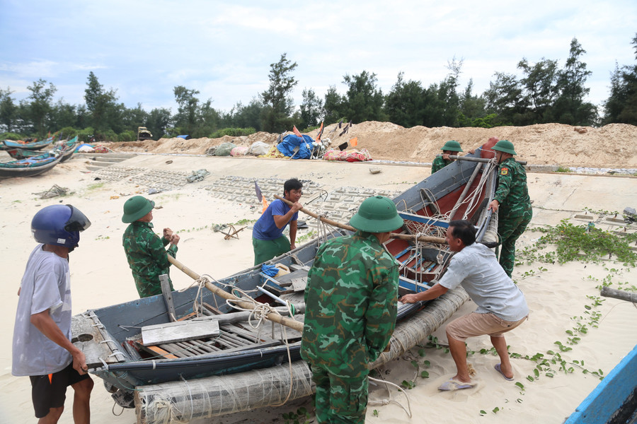 tranh-bao-6.jpg