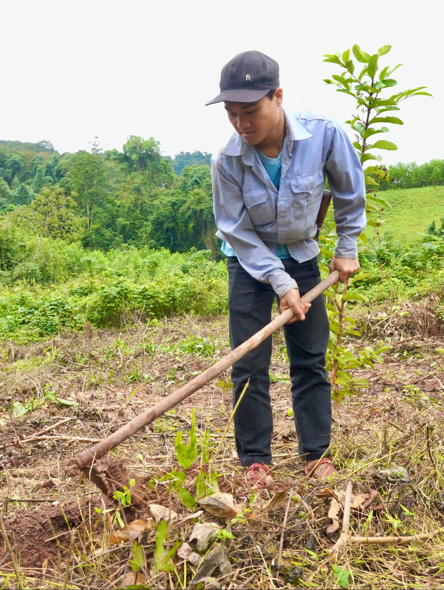 Cuộc sống của Sao gắn liền với công việc nương rẫy nơi rừng núi quê hương