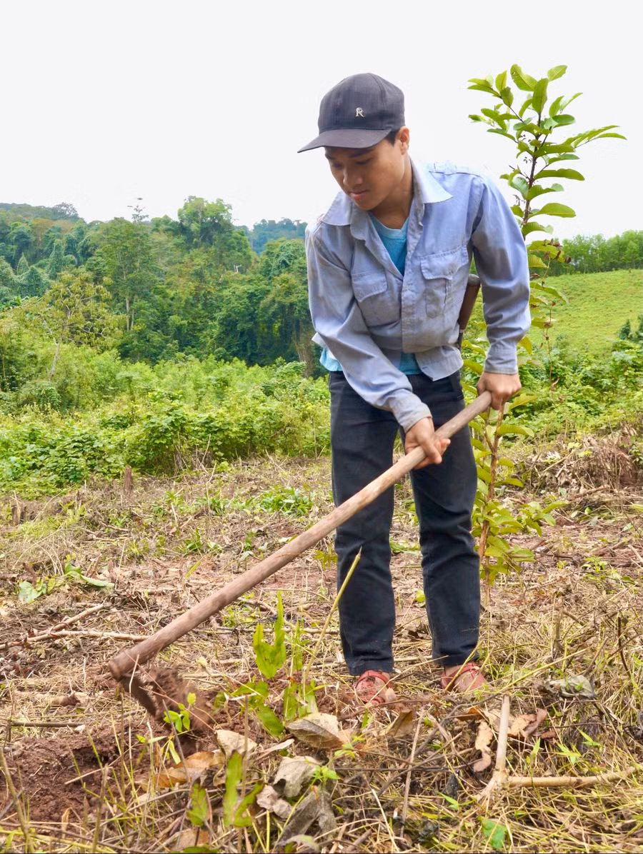 Cuộc sống của Sao gắn liền với công việc nương rẫy nơi rừng núi quê hương