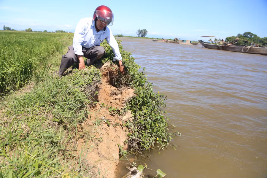 Ông Nguyễn Công Khánh lo lắng khi hàng chục ha lúa của bà con sẽ bị ảnh hưởng bởi việc hút cát.