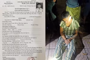 Trần Ngọc Hòa bị lực lượng chức năng bắt giữ.