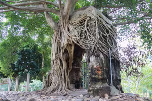 Di tích cổng phủ Tương Dương (huyện Tương Dương, Nghệ An). Ảnh: Phạm Tâm.