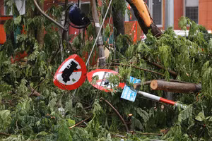 Cây xanh, biển báo giao thông bị bão quật ngã. (Ảnh: Phạm Tâm)